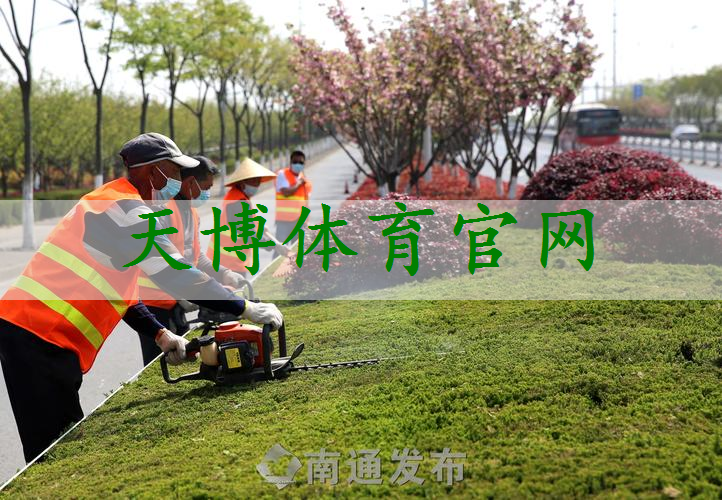 市政道路绿化工程特点描述